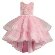 Wijhcboe Flower Girl Pageant Flower Dress Girl Wedding Dress Girls Elegant Lace Cute Toddler Girl Clothes Baptism Wedding Gown Party Young Girl Fashion Dresses First Birthday Dress Girl Bunny Dress f